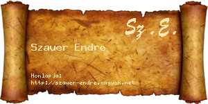 Szauer Endre névjegykártya